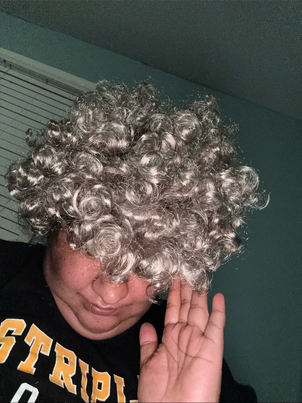 Gray Curly Synthetic Wig - Women Hair